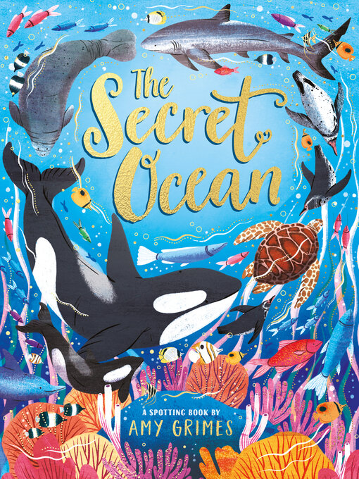 Title details for The Secret Ocean by Amy Grimes - Available